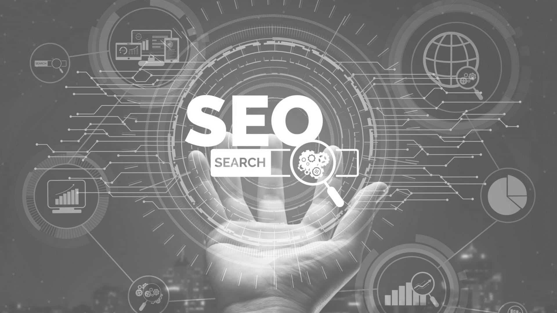 Why SEO is Important For Your Website